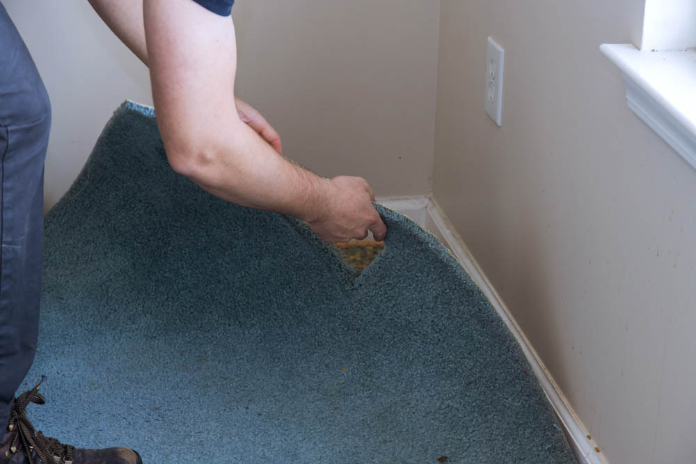 a person removing wet carpeting